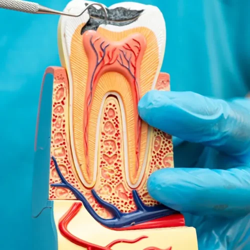 1772563588.endodontia-mecanizada-agilidade-tratamento-canal-df_11zon
