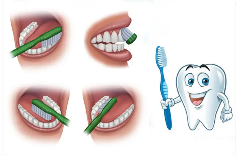 escovação adequada - vital impantes