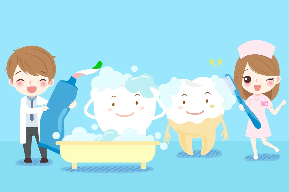 Veja Como Escovar Os Dentes Corretamente