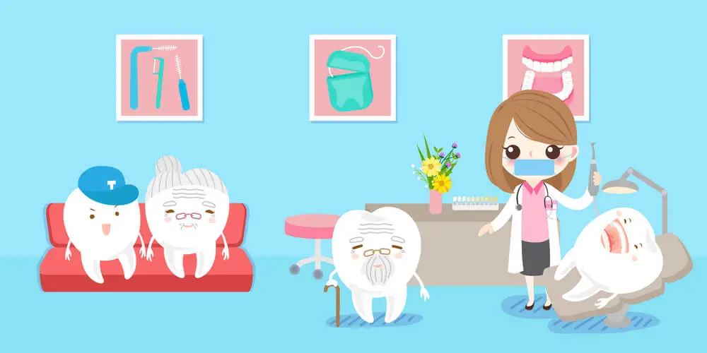 Afinal Por Que Os Dentes Caem