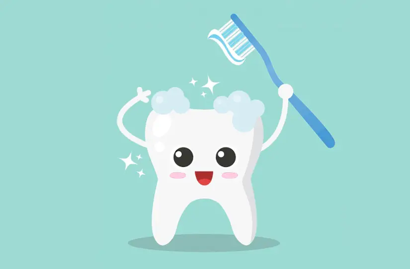 Duvidas Para Escolher Uma Escova De Dentes Tire As Aqui